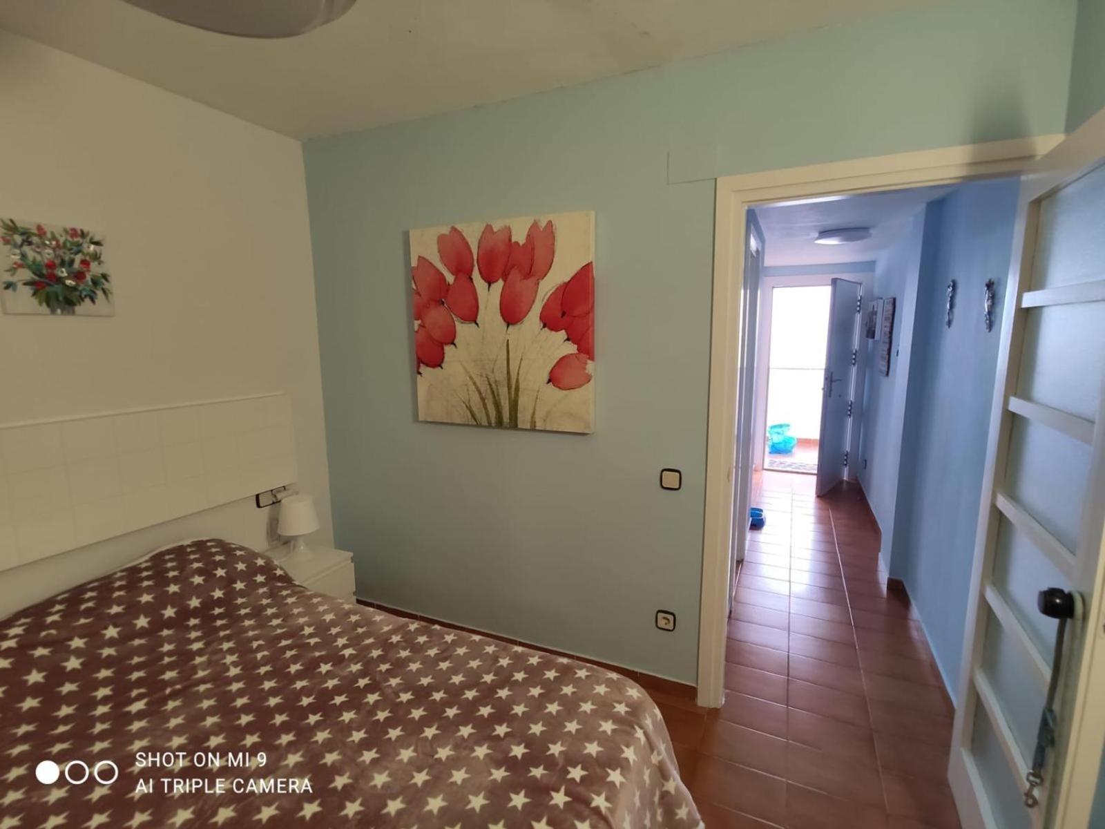 Apartamento Tossa Тоса-де-Мар Екстер'єр фото